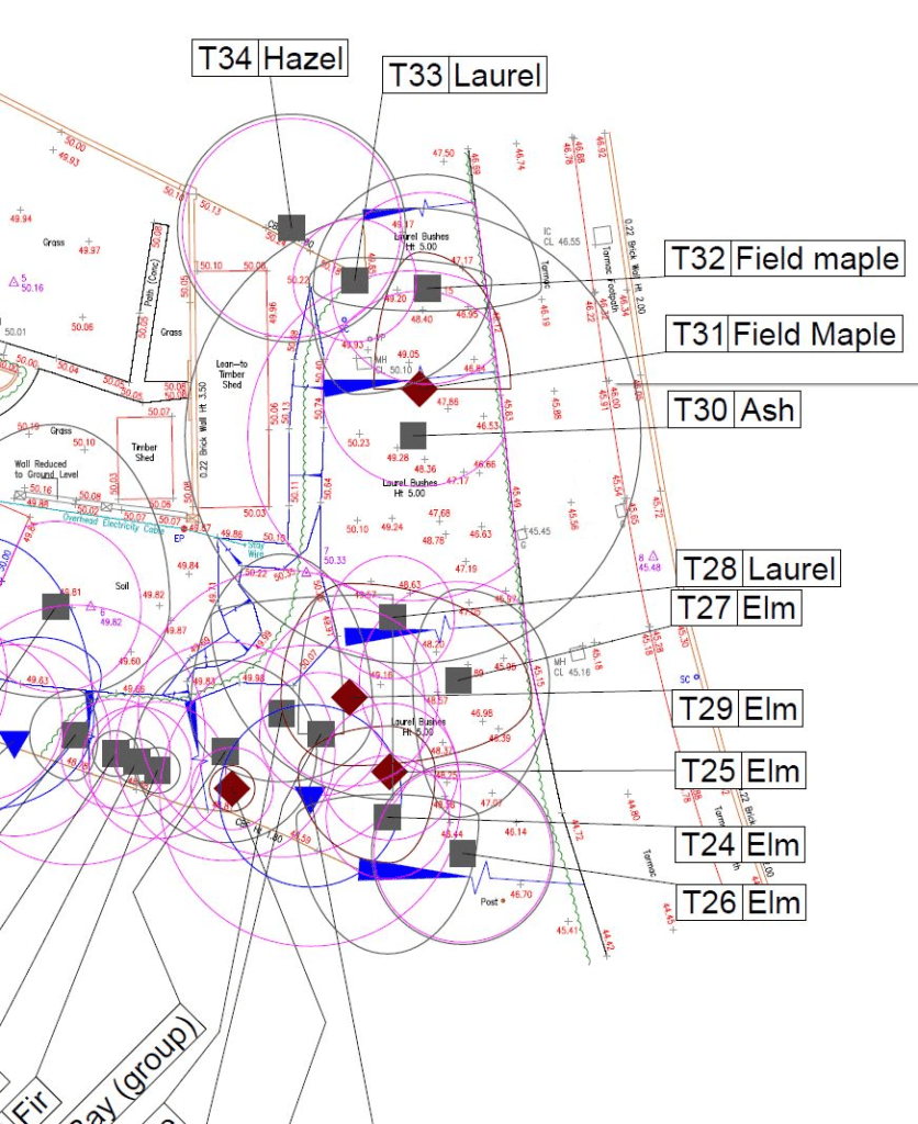 TCP Plan